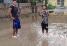 Ciudadanos cazan cocodrilos en colonias de Madero