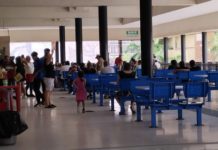 Urge fumigar ante la proliferación del mosco transmisor del dengue