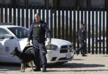 Restringe Estados Unidos el ingreso de perros desde México