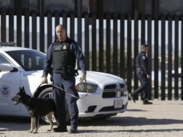 Restringe Estados Unidos el ingreso de perros desde México