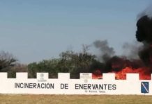 Ejército Mexicano realizaron una ceremonia de incineración de drogas