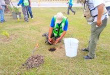 Sembrar un arbolito es cuidar el entorno ambiental y da oxigeno