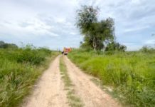Sin identificar cadáver encontrado en orillas de un canal de aguas negras