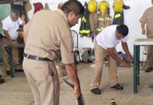 165 cocodrilos han sido capturados en la zona sur en la primera semana de este mes