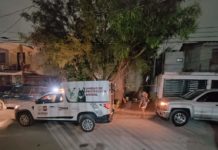 Exhorta Alcalde Carlos Peña Ortiz a dar una vida digna a animales de compañía