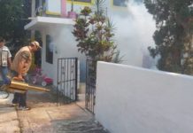 Registran 236 casos confirmados de dengue en Tamaulipas