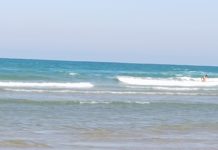 Colocarán Bandera Morada para prevenir riesgos en playa Miramar