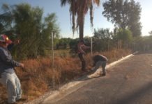 Desarrolla Gobierno de Carlos Peña Ortiz trabajo de mantenimiento de espacios públicos