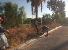 Desarrolla Gobierno de Carlos Peña Ortiz trabajo de mantenimiento de espacios públicos