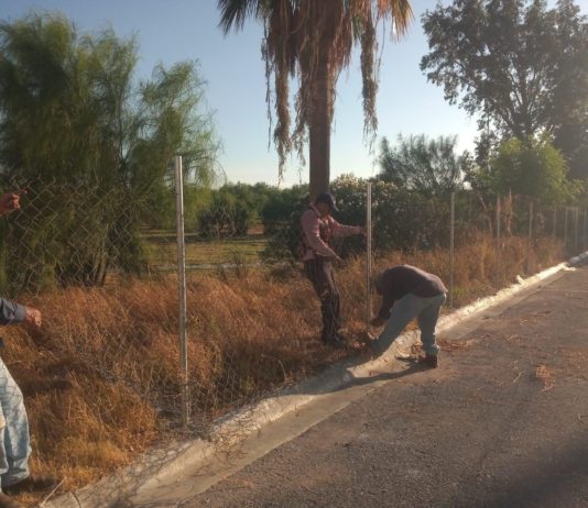 Desarrolla Gobierno de Carlos Peña Ortiz trabajo de mantenimiento de espacios públicos