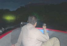 Realizan acciones previas al censo del cocodrilo moreletti en Tampico