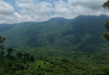 Actualizan programa para protección de Biósfera “El Cielo”
