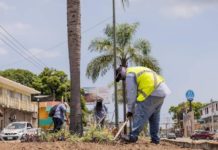 Continúa programa permanente de mejoramiento de imagen urbana