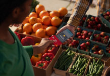 Apple abrirá el NFC del iPhone a terceros para pagos, llaves, identificaciones y más, primero en este puñado de países