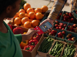 Apple abrirá el NFC del iPhone a terceros para pagos, llaves, identificaciones y más, primero en este puñado de países