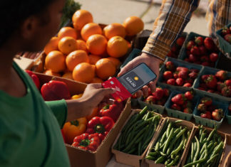 Apple abrirá el NFC del iPhone a terceros para pagos, llaves, identificaciones y más, primero en este puñado de países