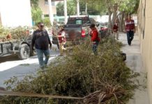 Impulsa Alcalde Carlos Peña Ortiz mantenimiento y saneamiento de escuelas