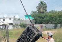 Realizó Comapa limpieza de canastillas en EBAR de las colonias Leal Puente y Las Torres