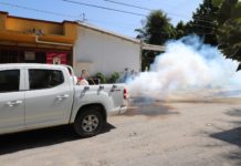 Aseguran reforzar la estrategia de fumigación y abatización para erradicar el Dengue