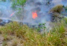 Bomberos acuden a sofocar incendio en pastizal