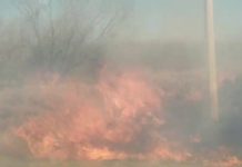 Bomberos acuden a sofocar incendio en predio baldío