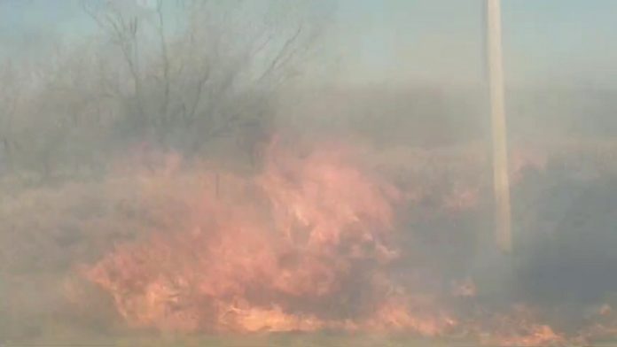 Bomberos acuden a sofocar incendio en predio baldío