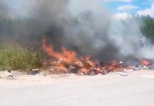 Bomberos sofocan incendio en predio baldío que dejó daños materiales