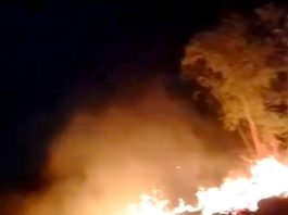 Bomberos sofocan incendio en predio baldío que dejo solo daños