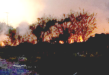 Bomberos sofocan incendios en predios baldíos que dejaron daños materiales