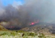 Bomberos sofocan incendios en predios con pastizal dejando solo daños