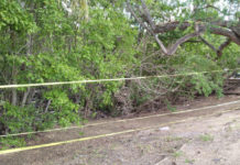 Acordonan con cinta de precaución periferia de la laguna del Carpintero para evitar ingresen personas