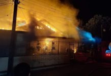 Bomberos salvan a perrita de voraz incendio en “Los Guerras”