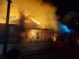 Bomberos salvan a perrita de voraz incendio en “Los Guerras”