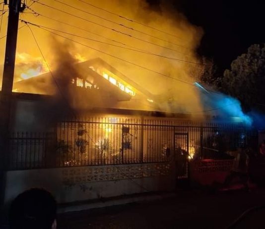 Bomberos salvan a perrita de voraz incendio en “Los Guerras”
