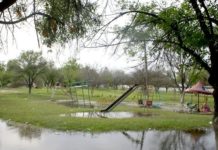 Población ya no aguantan más a los mosquitos trasmisores del Dengue