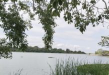 Zona sur de Tamaulipas es “verde” en el semáforo del cuidado del agua afirma Secretaria de Recursos Hidráulicos