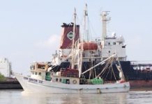 A un mes de que inicie la veda del camarón