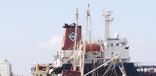 A un mes de que inicie la veda del camarón