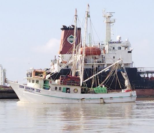 A un mes de que inicie la veda del camarón