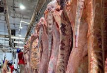 Advierten riesgos a la salud por compra de carne sin control sanitario
