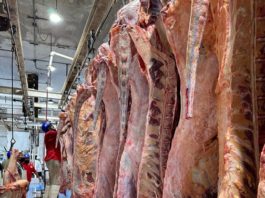 Prevén incremento de precios de verduras e insumos por Día de Muertos