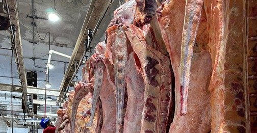 Advierten riesgos a la salud por compra de carne sin control sanitario