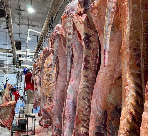 Prevén incremento de precios de verduras e insumos por Día de Muertos