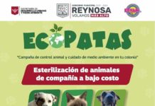 Anuncia Gobierno de Carlos Peña Ortiz campaña ECOPATAS en Vista Alta