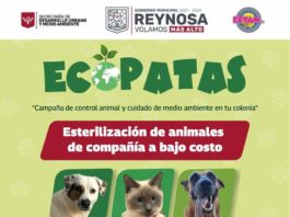 Anuncia Gobierno de Carlos Peña Ortiz campaña ECOPATAS en Vista Alta