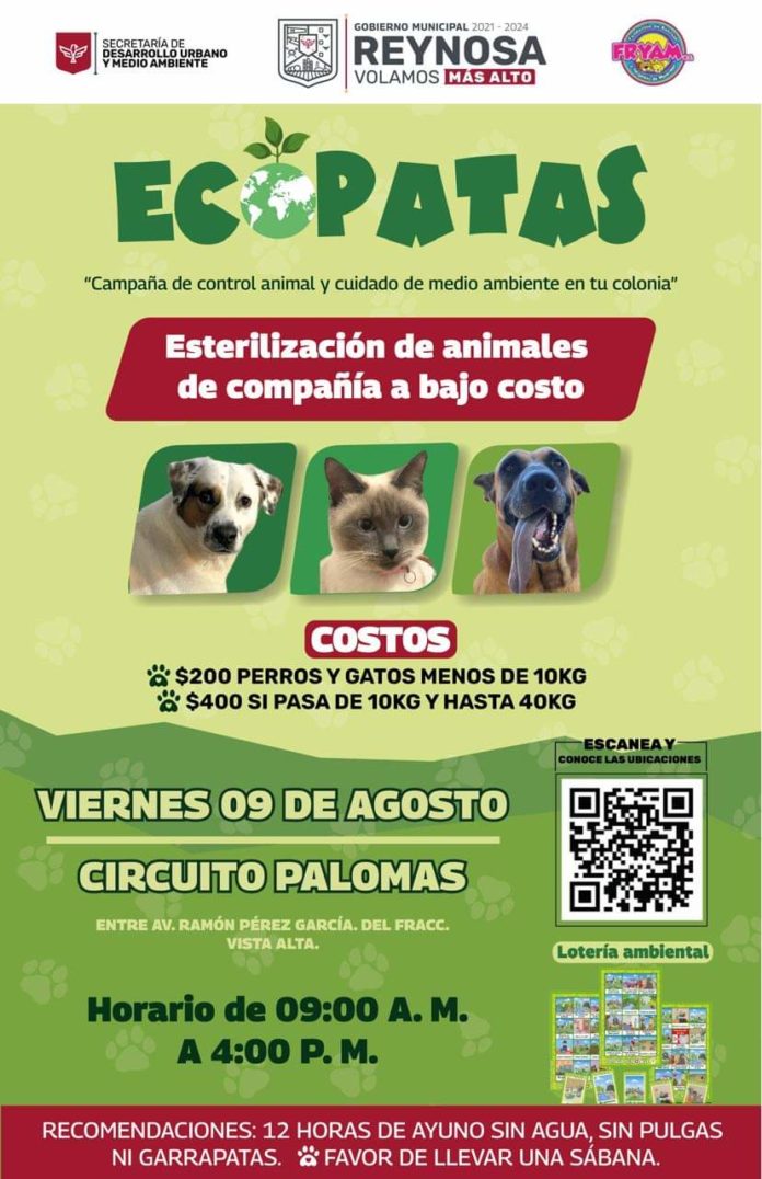 e70f121e-a34f-4d87-a221-1c0a8d8fec10