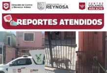 Emitió Gobierno Municipal Acta por maltrato animal en Unidad Obrera