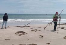 Realizan impieza y mantenimiento en playa Miramar