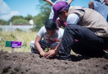 Habilita DIF Tamaulipas nuevos huertos escolares en 10 municipios del estado