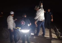 Refuerza Gobierno de Reynosa búsqueda de tigre en Los Cavazos.